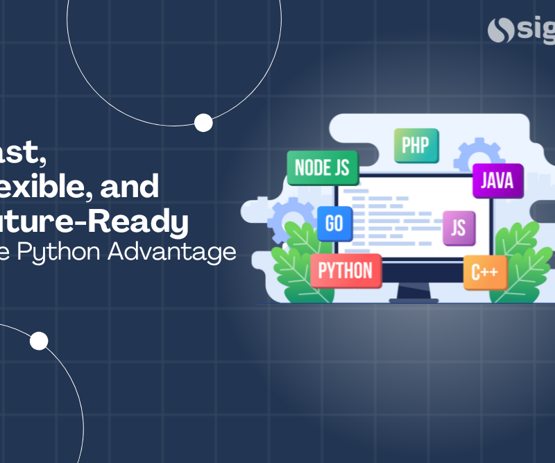 Fast, Flexible, and Future-Ready: The Python Advantage