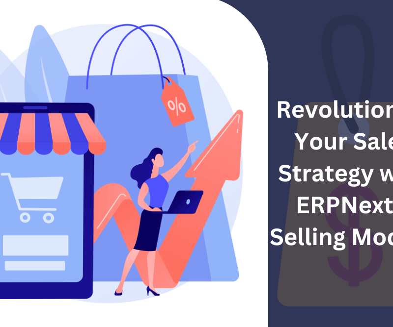 ERPNext's Selling Module