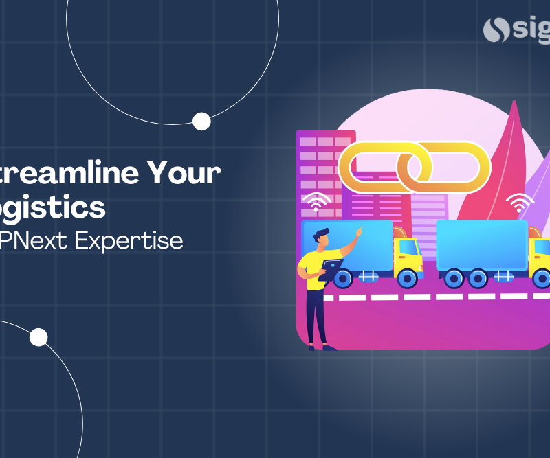 Streamline Your Logistics with ERPNext Expertise