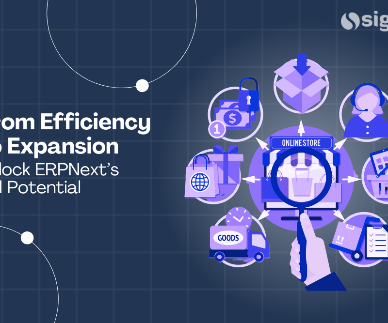 From Efficiency to Expansion: Unlock ERPNext’s Full Potential